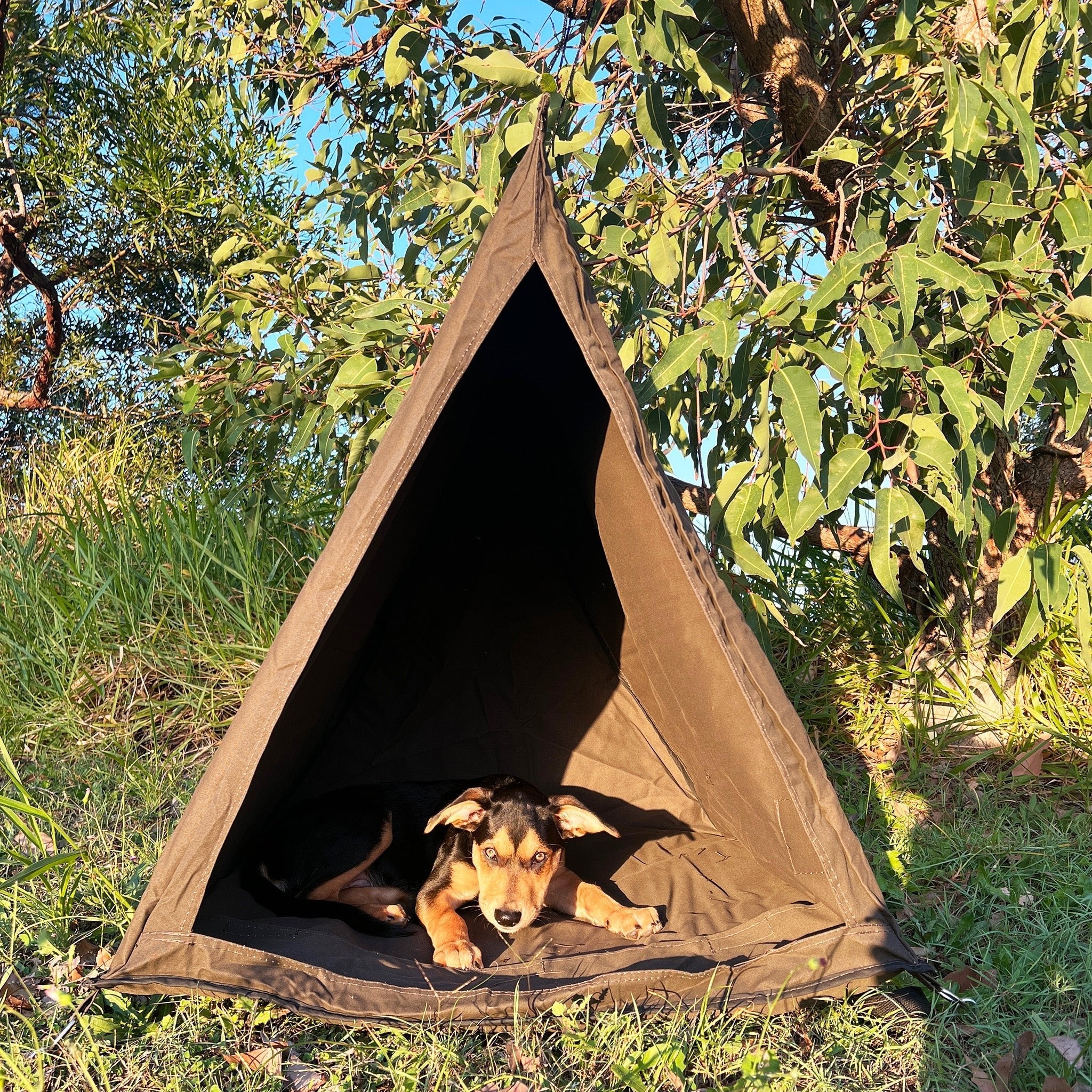 Mr Swagman - Dog Swag